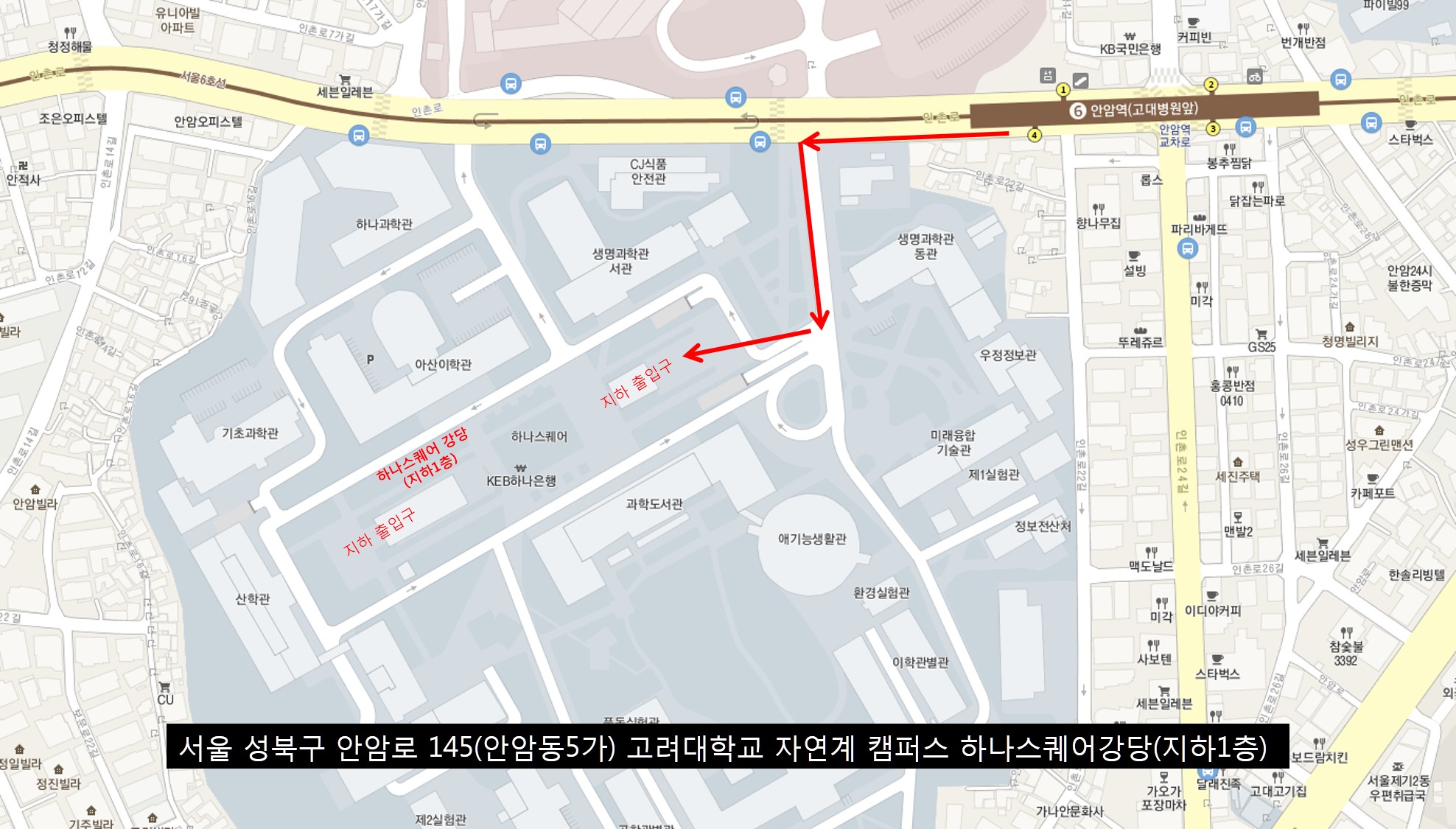 고려대학교 진로적성캠프